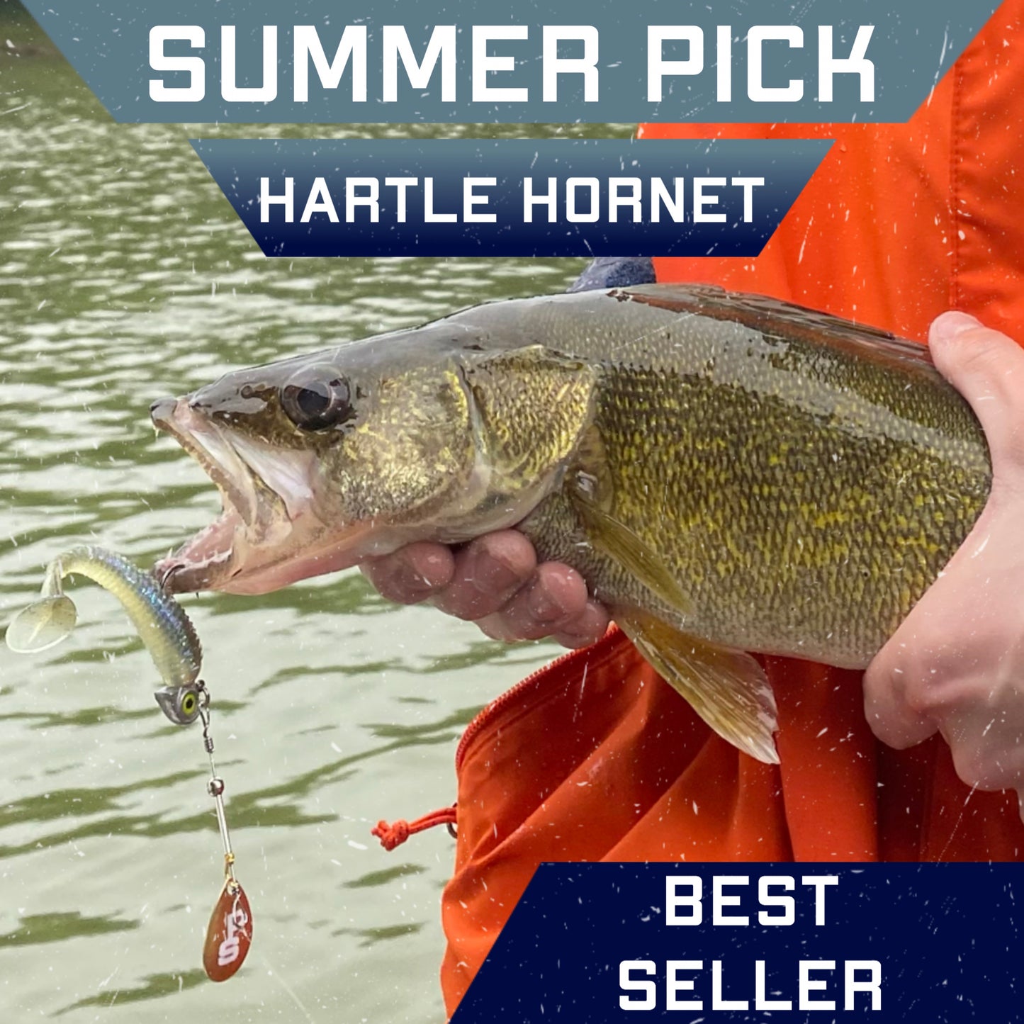 Hartle Hornet (OG)